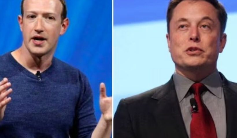 Live streaming fight between Elon Musk and Mark Zuckerberg