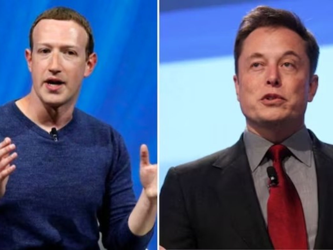 Live streaming fight between Elon Musk and Mark Zuckerberg