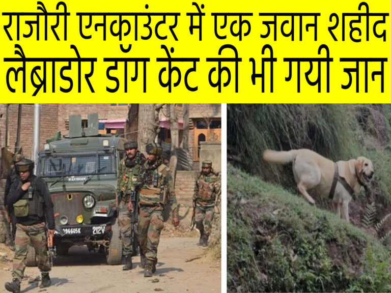 New Project 2023 09 13T175705.923