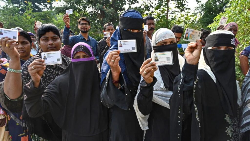 WhatsApp Image 2025 11 13 at 4 33 41 PM